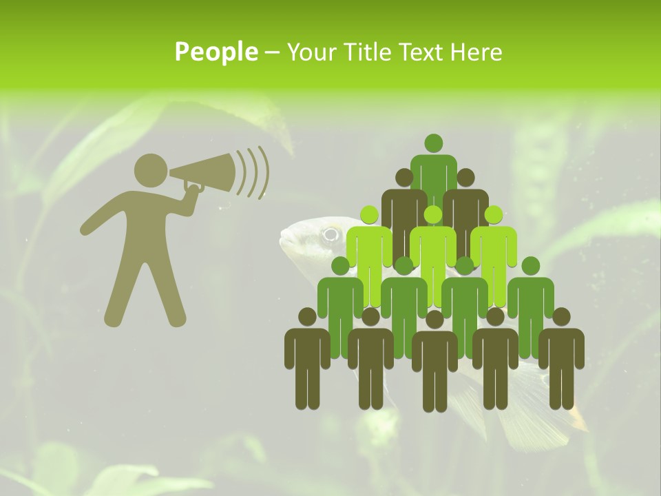 Freshwater Fresh Root PowerPoint Template