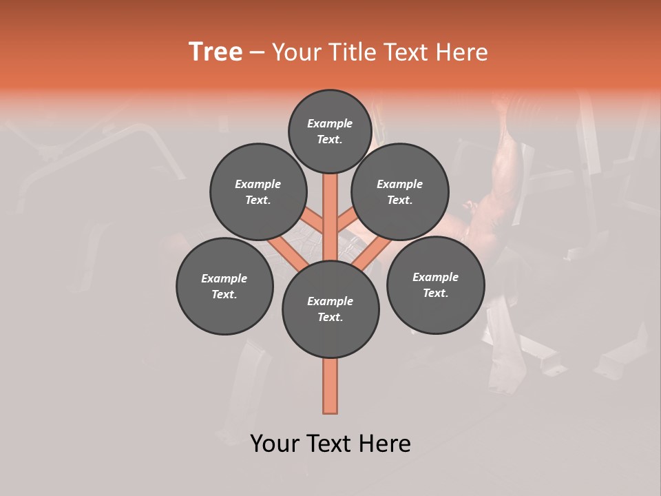 Gym  Fitness Center PowerPoint Template