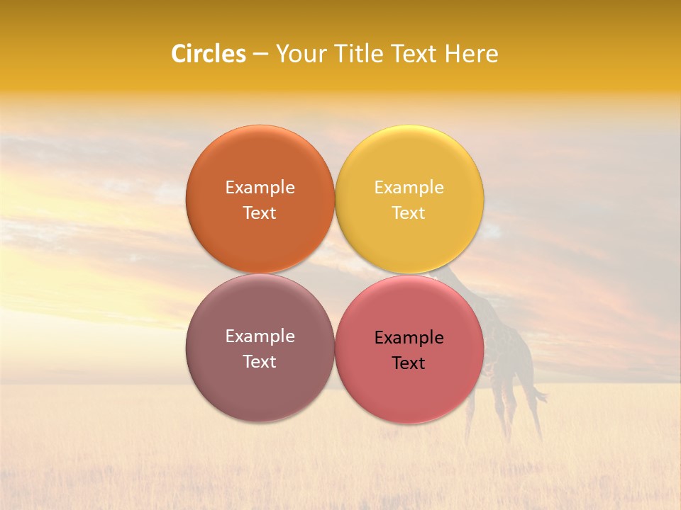 Nature Park Reticulated PowerPoint Template