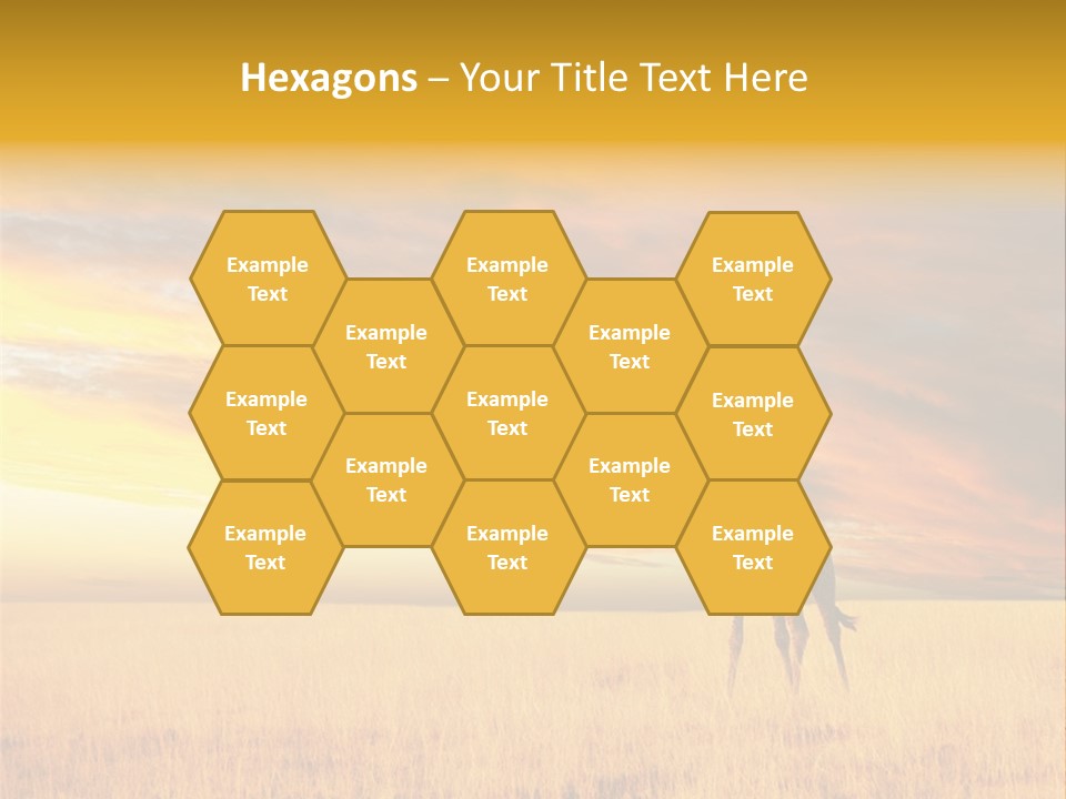 Nature Park Reticulated PowerPoint Template