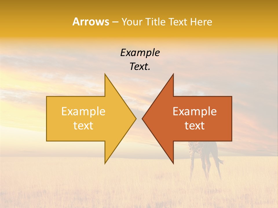 Nature Park Reticulated PowerPoint Template