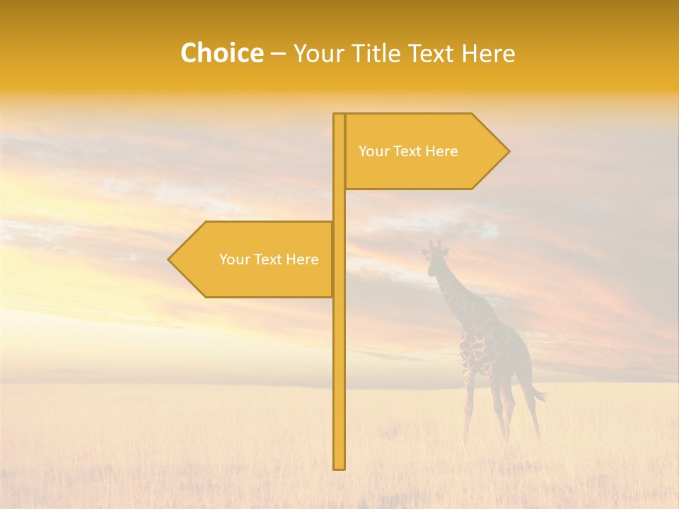 Nature Park Reticulated PowerPoint Template