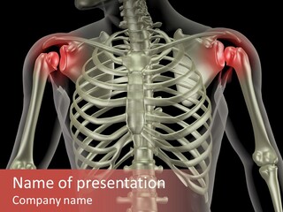 Skin Skeleton Biology PowerPoint Template