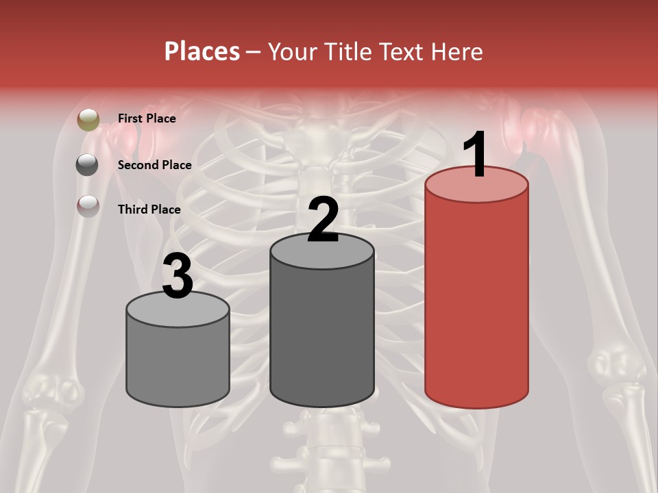 Skin Skeleton Biology PowerPoint Template