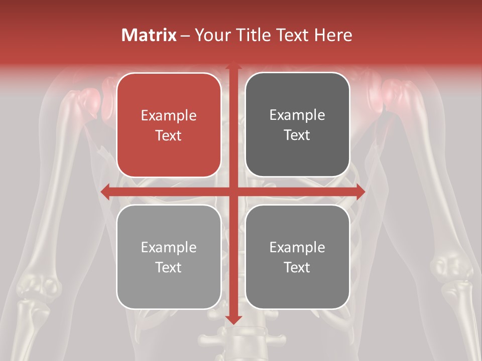 Skin Skeleton Biology PowerPoint Template