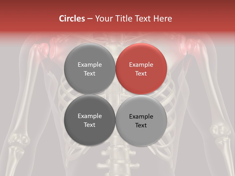 Skin Skeleton Biology PowerPoint Template