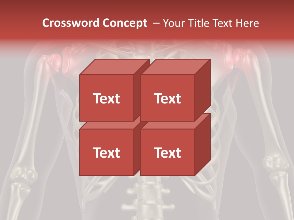 Skin Skeleton Biology PowerPoint Template