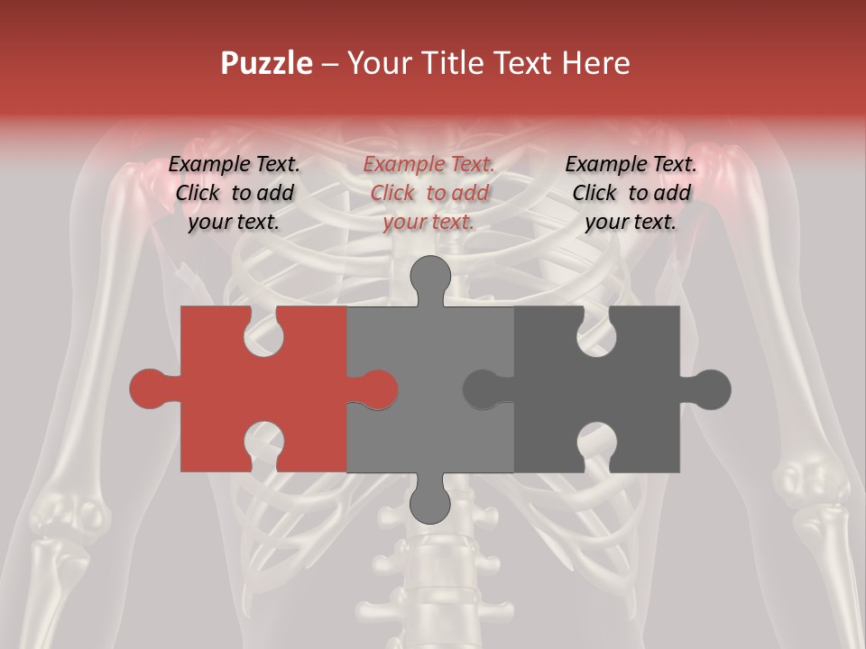 Skin Skeleton Biology PowerPoint Template