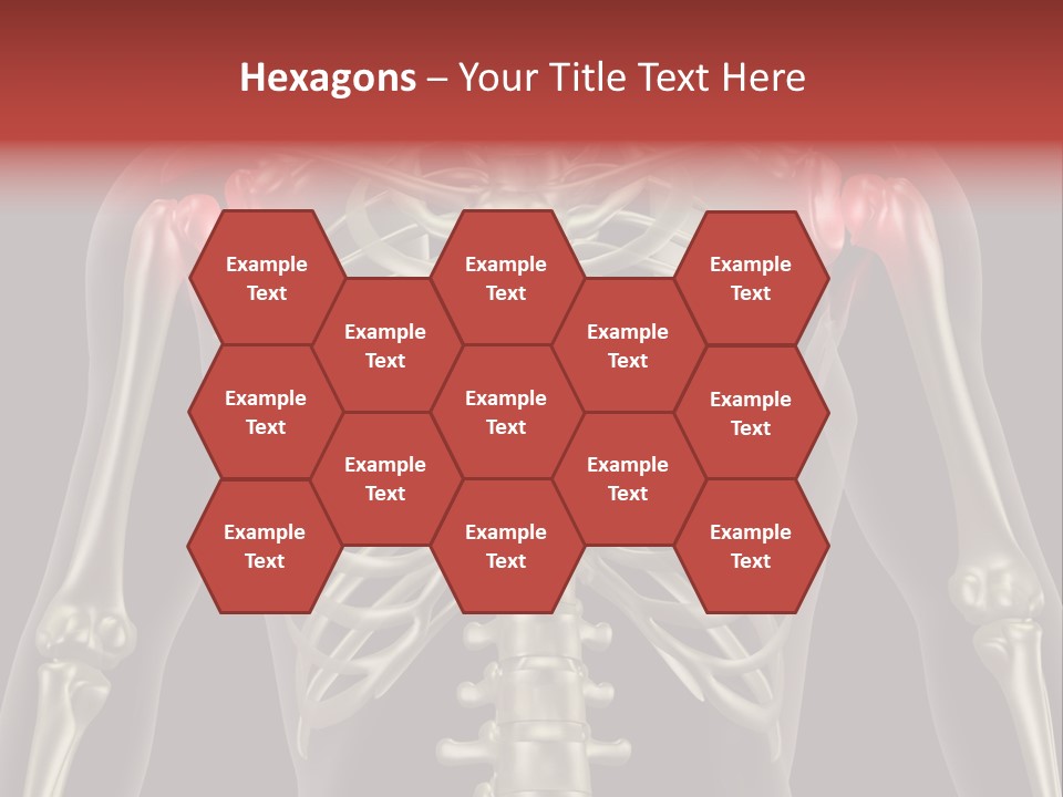 Skin Skeleton Biology PowerPoint Template