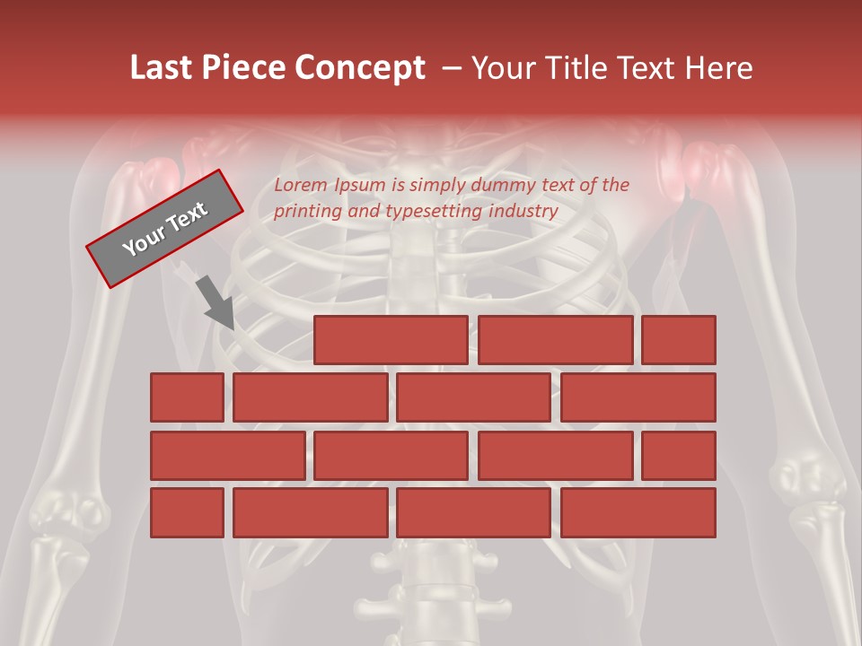 Skin Skeleton Biology PowerPoint Template