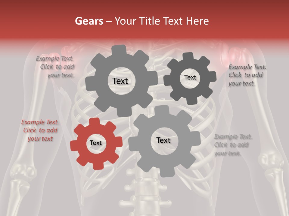 Skin Skeleton Biology PowerPoint Template