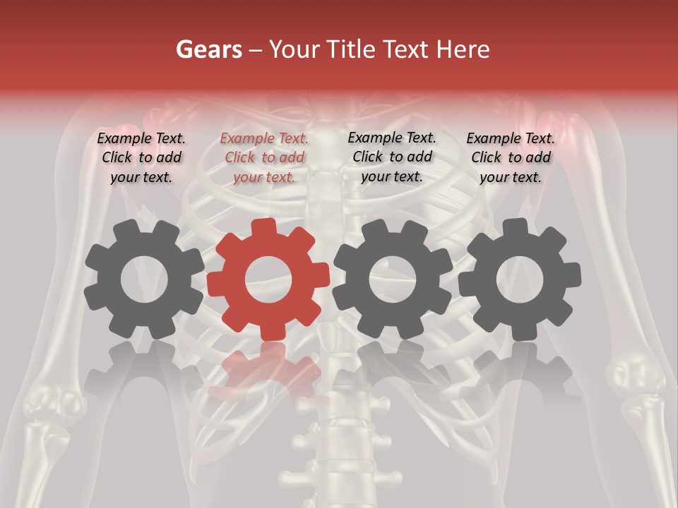 Skin Skeleton Biology PowerPoint Template