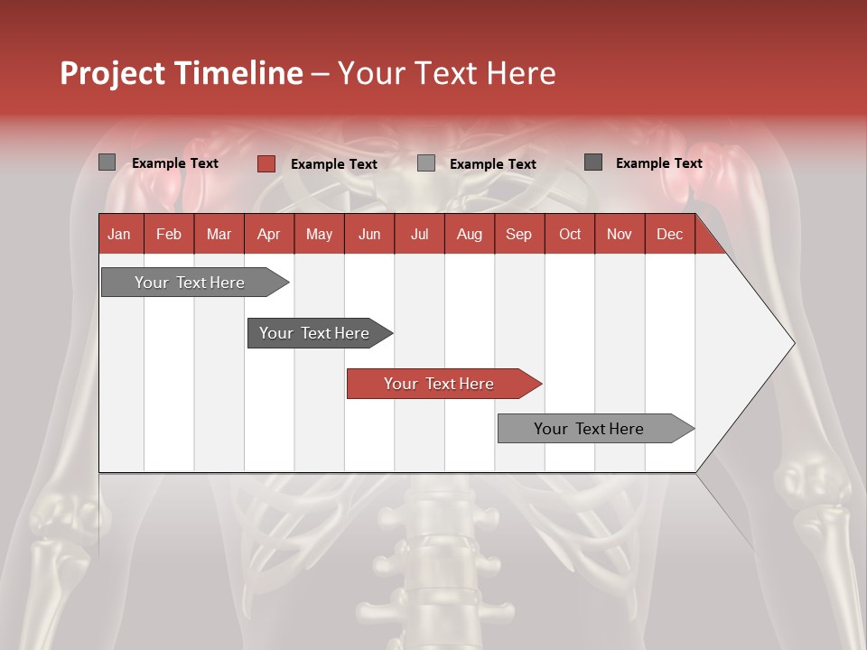 Skin Skeleton Biology PowerPoint Template
