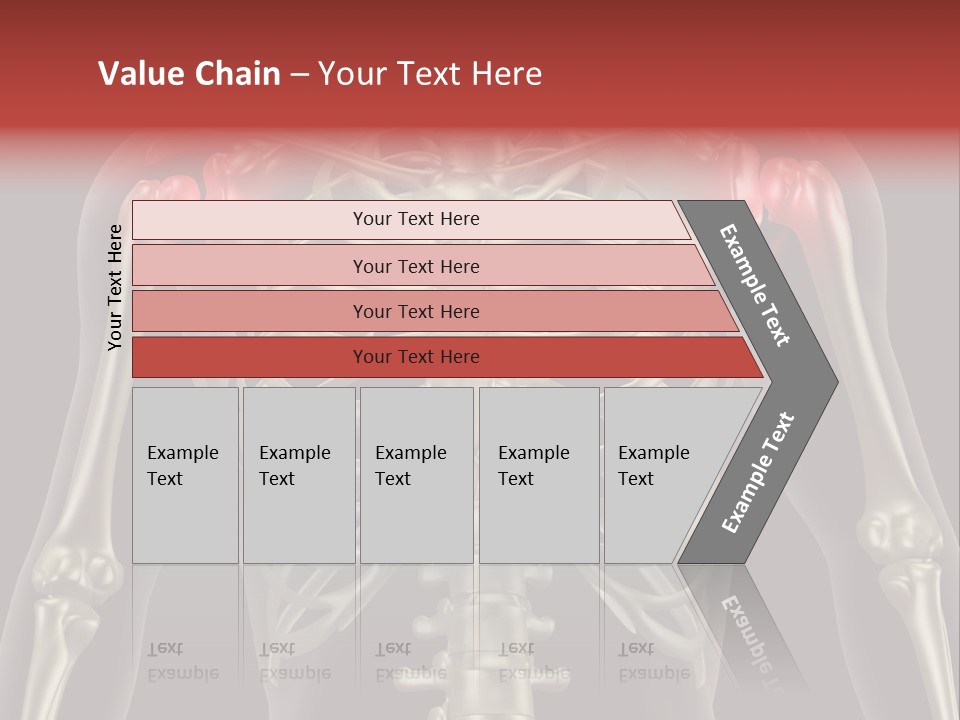 Skin Skeleton Biology PowerPoint Template
