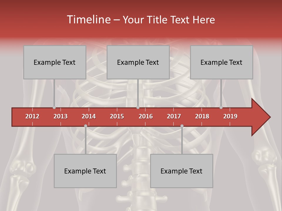 Skin Skeleton Biology PowerPoint Template