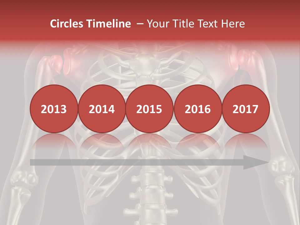 Skin Skeleton Biology PowerPoint Template