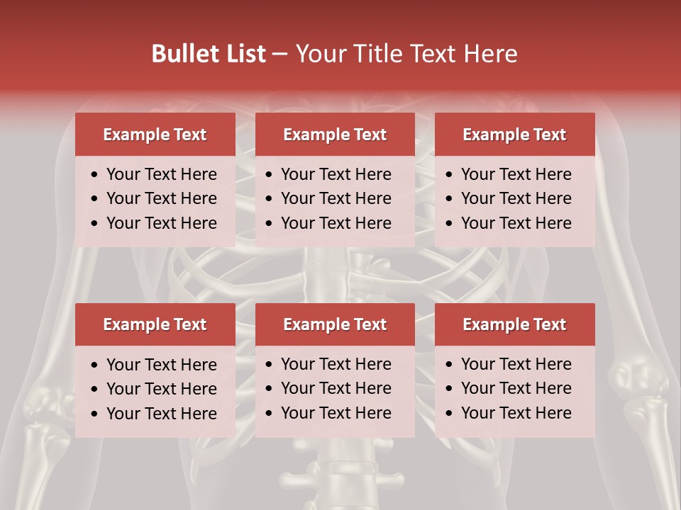Skin Skeleton Biology PowerPoint Template
