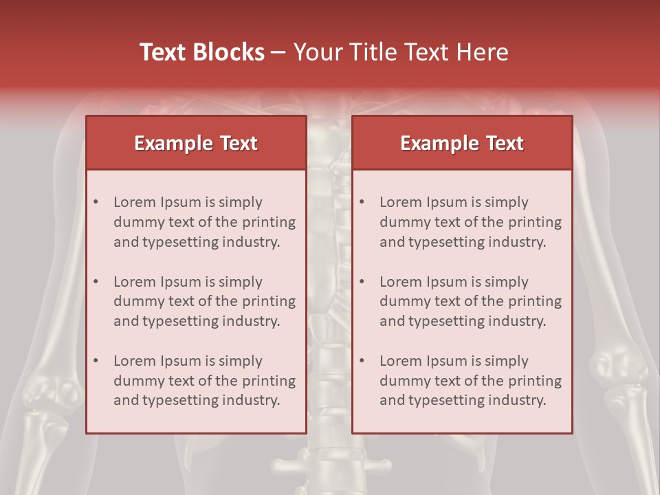 Skin Skeleton Biology PowerPoint Template