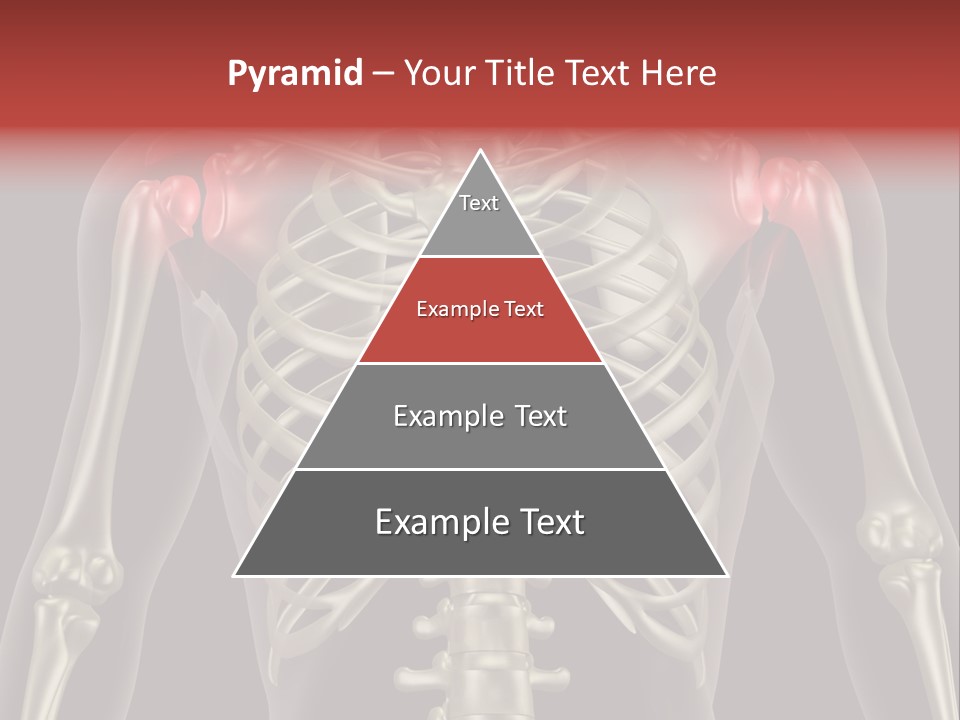 Skin Skeleton Biology PowerPoint Template