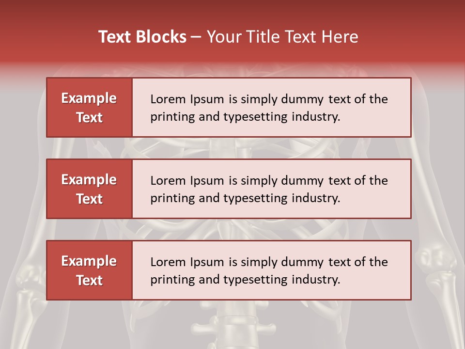 Skin Skeleton Biology PowerPoint Template