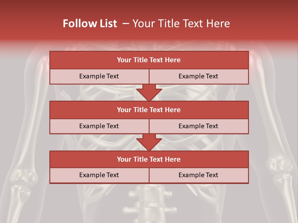 Skin Skeleton Biology PowerPoint Template