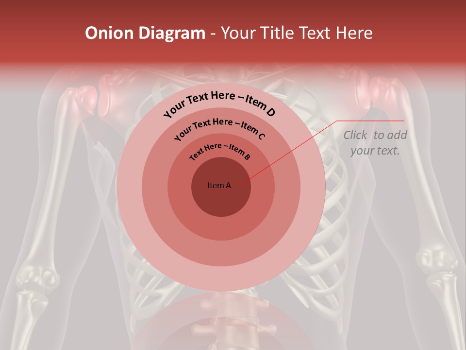 Skin Skeleton Biology PowerPoint Template