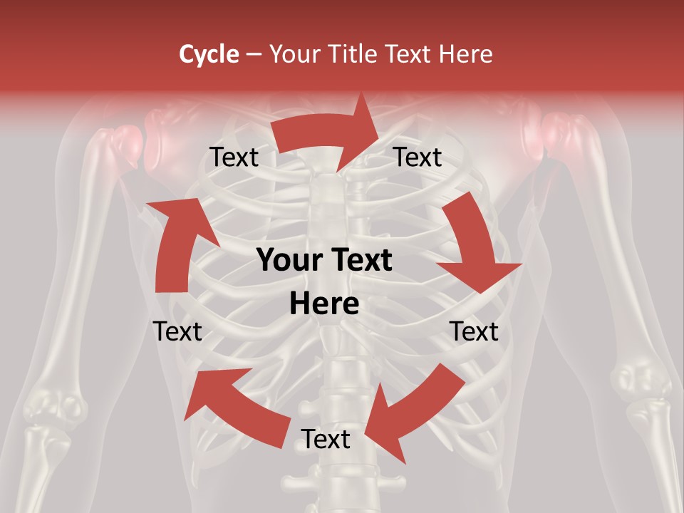 Skin Skeleton Biology PowerPoint Template