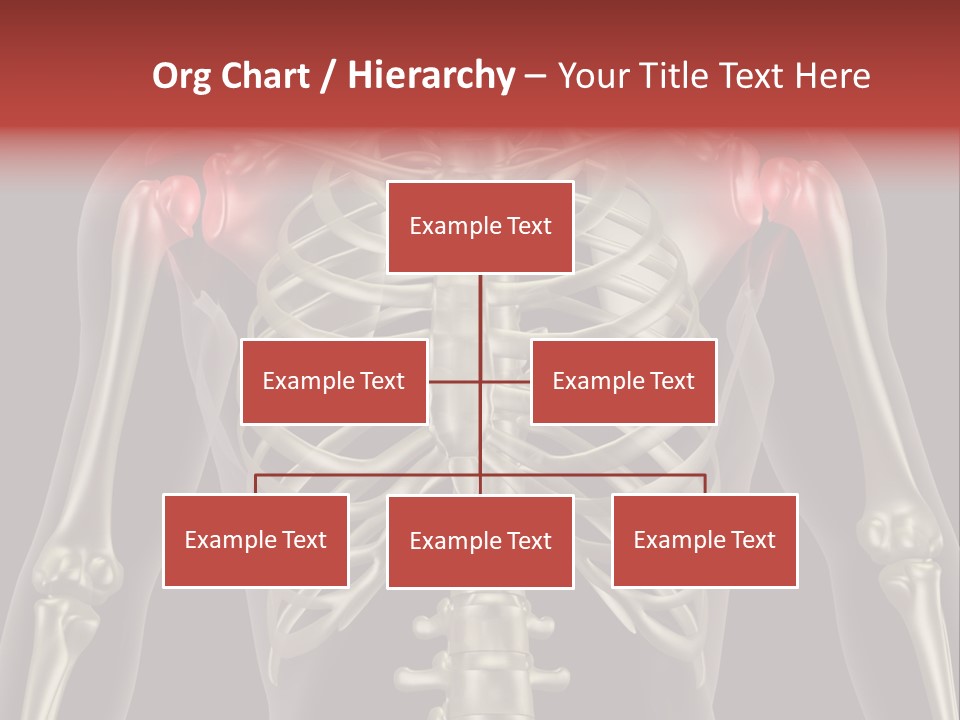 Skin Skeleton Biology PowerPoint Template