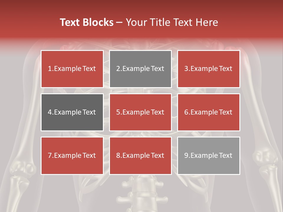 Skin Skeleton Biology PowerPoint Template