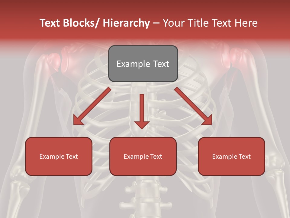 Skin Skeleton Biology PowerPoint Template