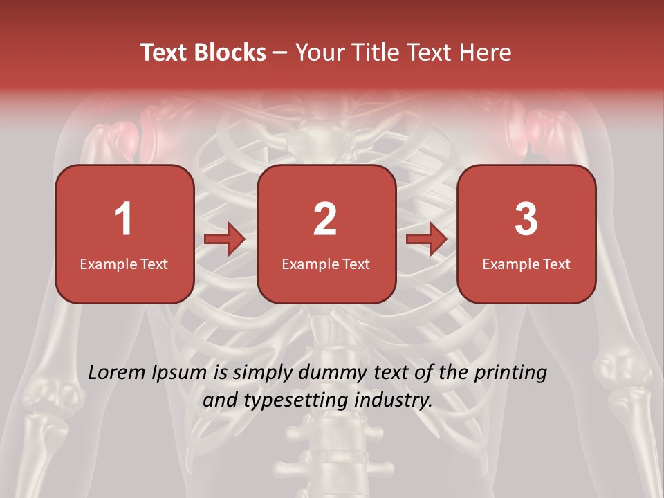 Skin Skeleton Biology PowerPoint Template