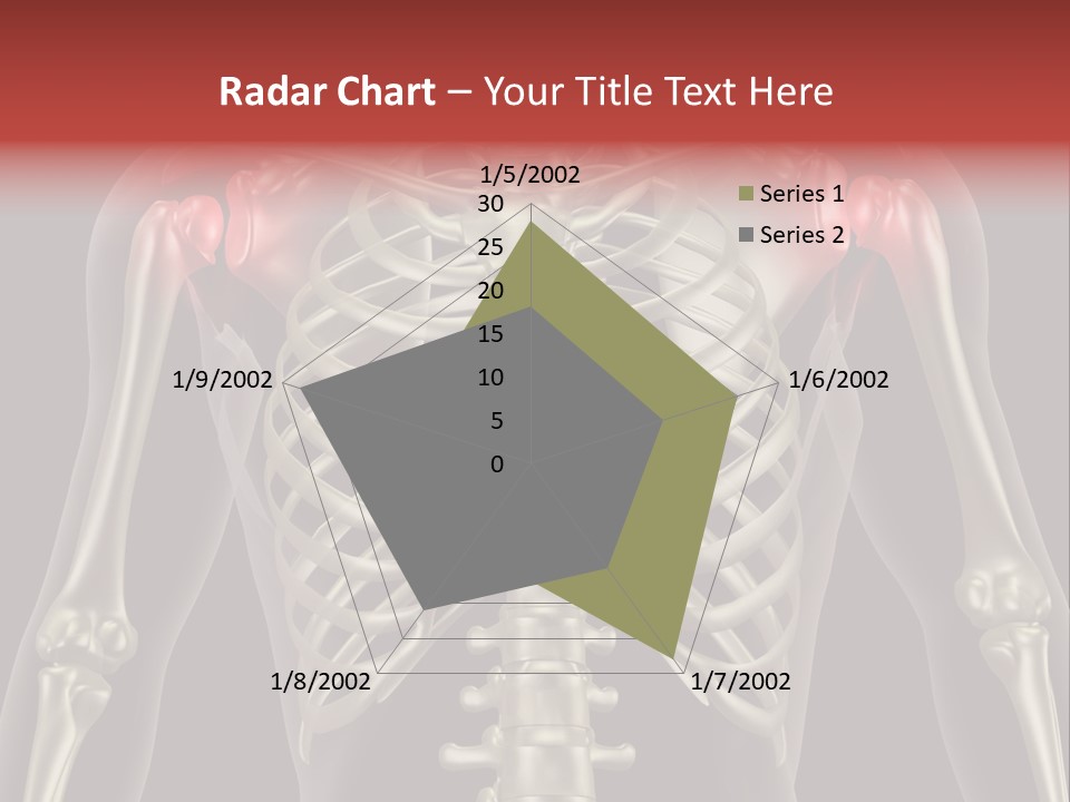 Skin Skeleton Biology PowerPoint Template