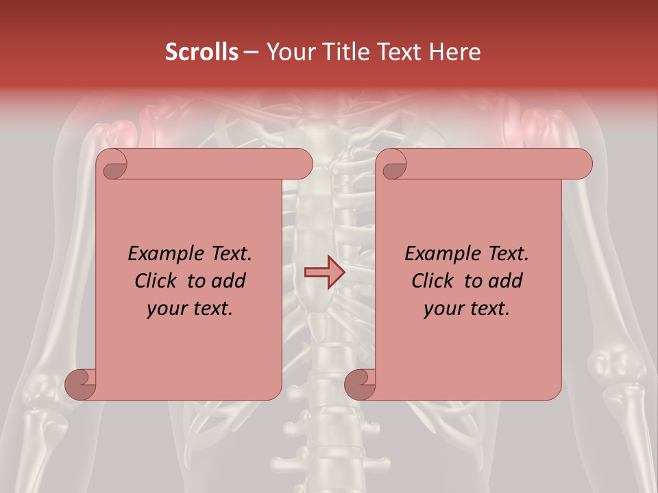 Skin Skeleton Biology PowerPoint Template