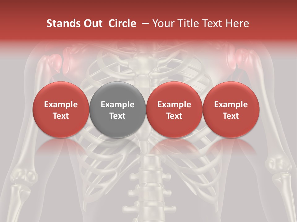 Skin Skeleton Biology PowerPoint Template