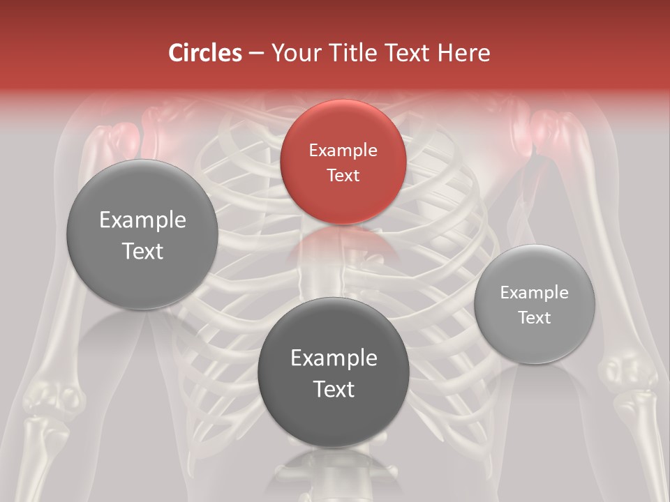 Skin Skeleton Biology PowerPoint Template
