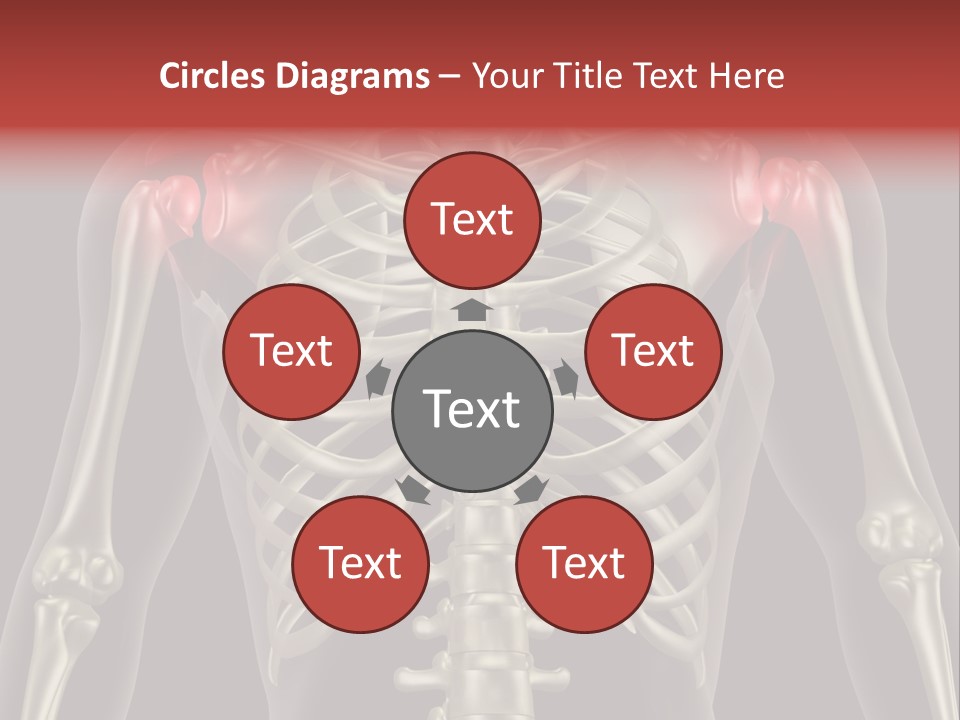 Skin Skeleton Biology PowerPoint Template