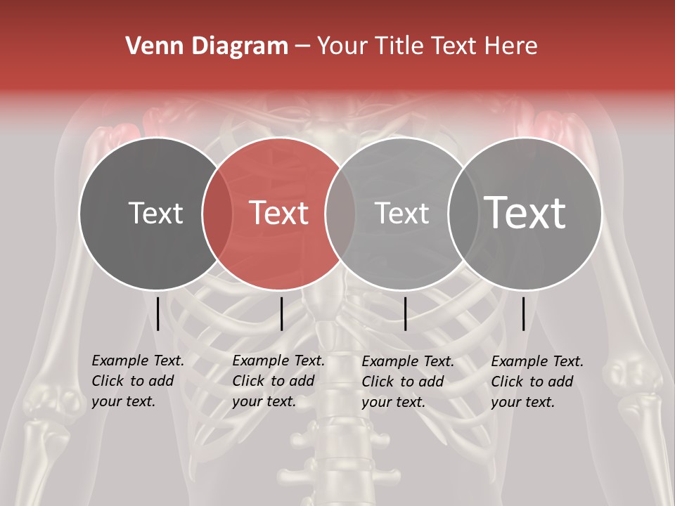 Skin Skeleton Biology PowerPoint Template