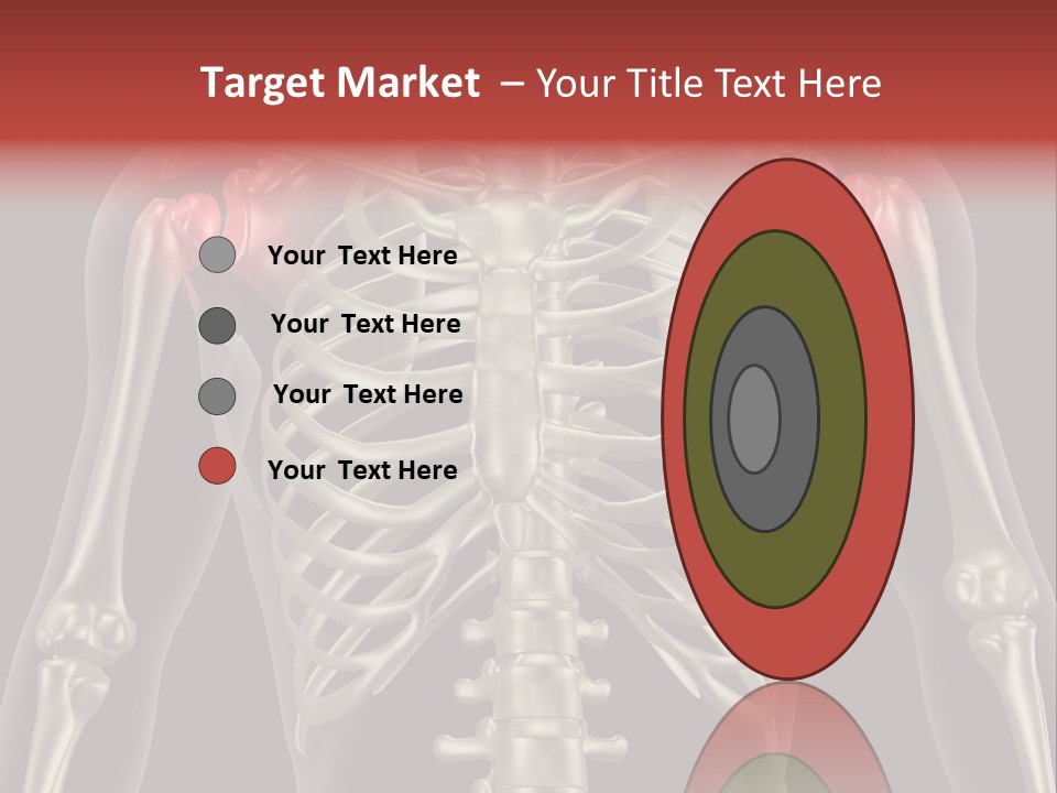 Skin Skeleton Biology PowerPoint Template