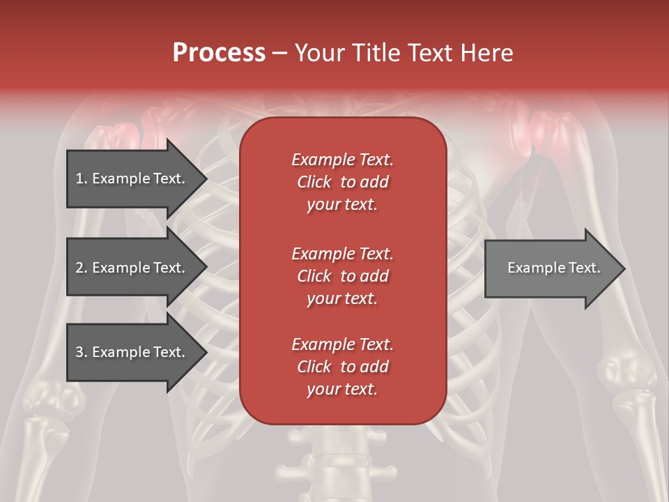 Skin Skeleton Biology PowerPoint Template