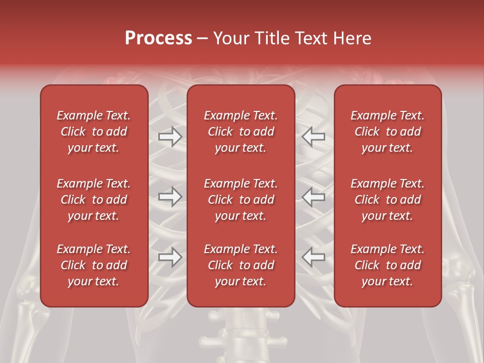 Skin Skeleton Biology PowerPoint Template