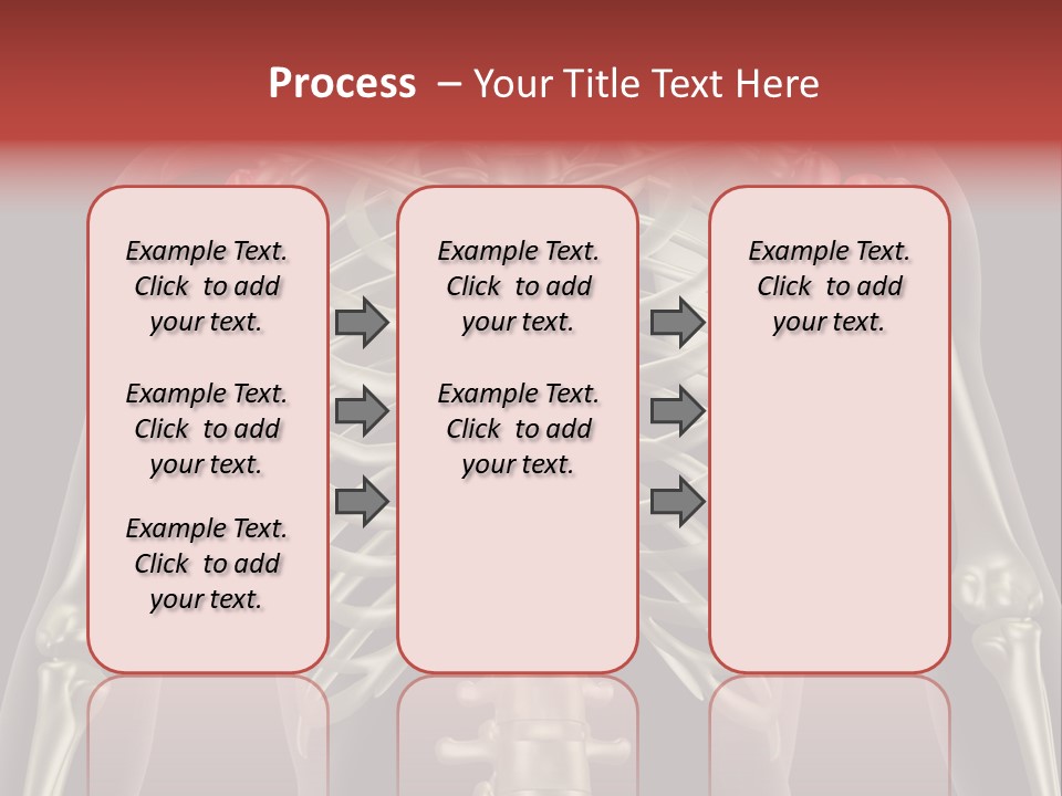 Skin Skeleton Biology PowerPoint Template