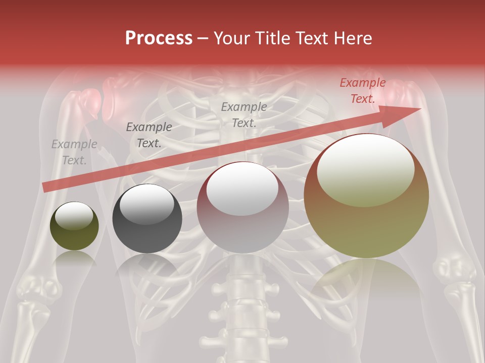 Skin Skeleton Biology PowerPoint Template