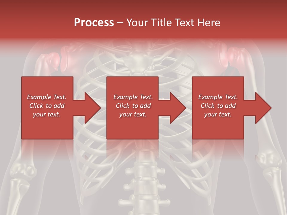 Skin Skeleton Biology PowerPoint Template
