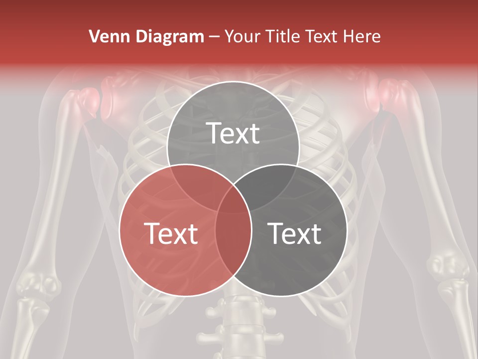 Skin Skeleton Biology PowerPoint Template