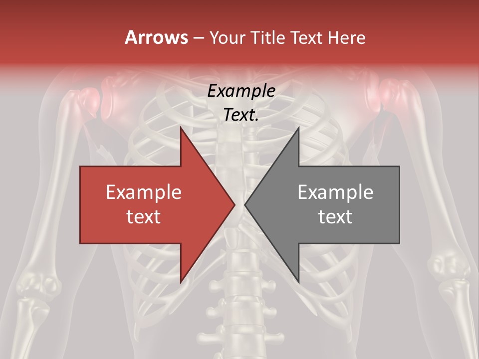 Skin Skeleton Biology PowerPoint Template