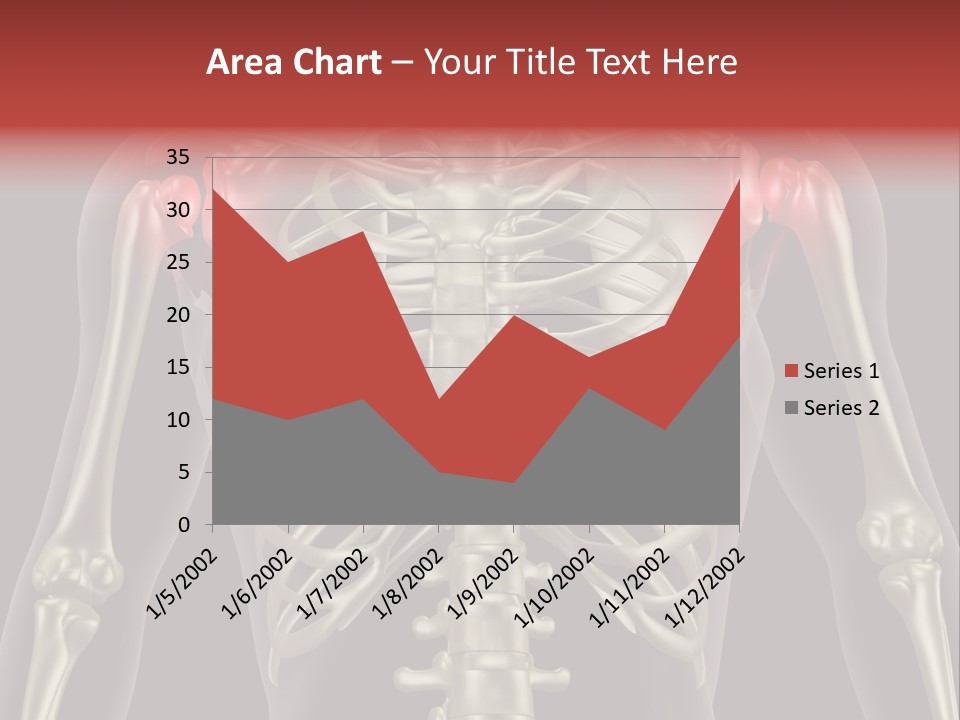 Skin Skeleton Biology PowerPoint Template
