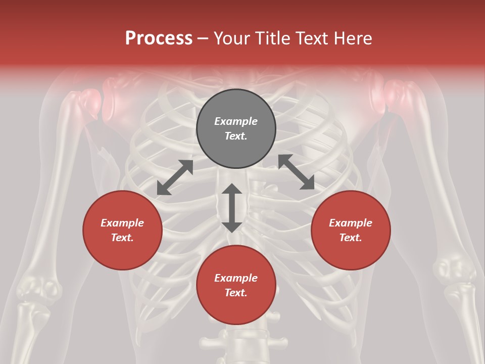 Skin Skeleton Biology PowerPoint Template