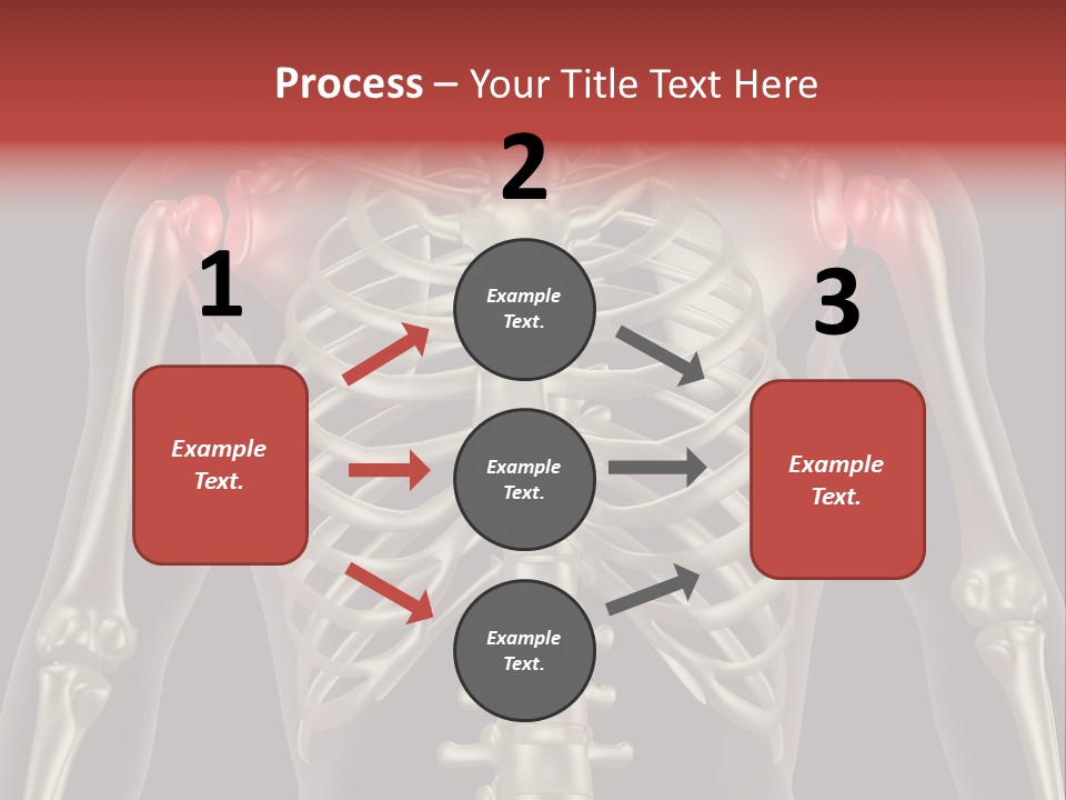 Skin Skeleton Biology PowerPoint Template