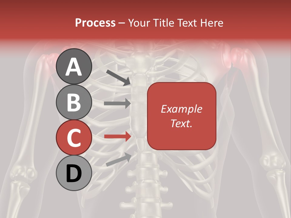Skin Skeleton Biology PowerPoint Template