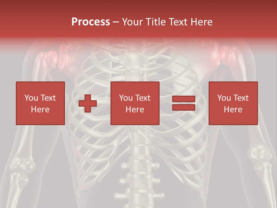 Skin Skeleton Biology PowerPoint Template
